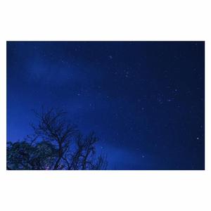 手机看片福利视频
